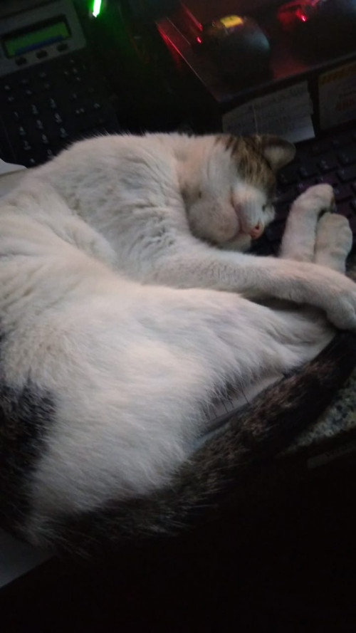Michu