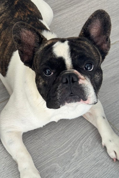Max