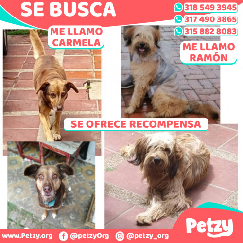 Foto de mascota Ramon Y Carmela