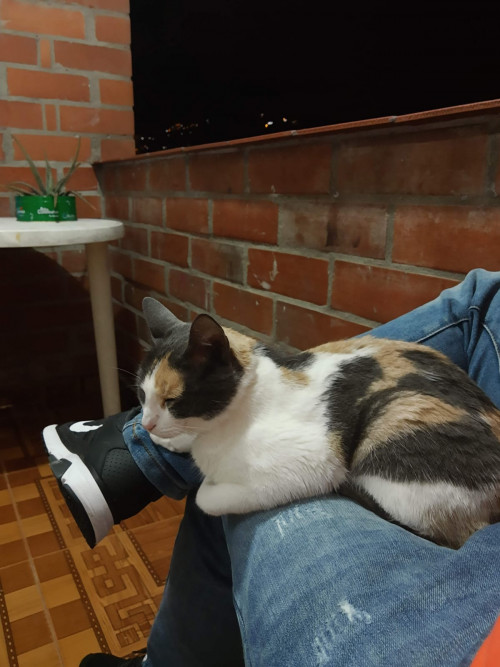 Dulce