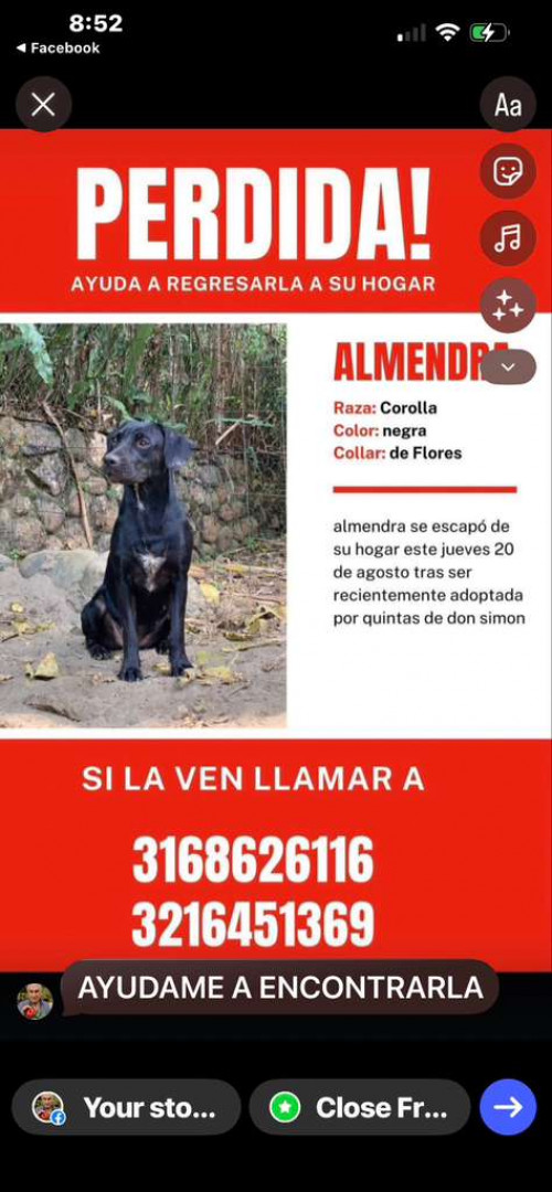 Almendra