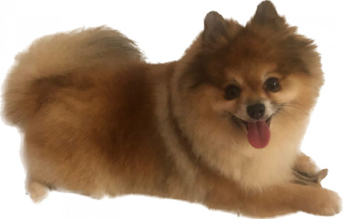 Nano