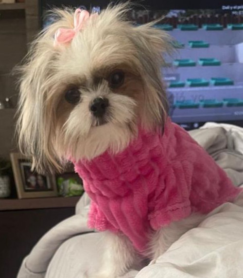 Perla