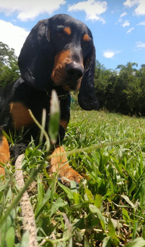 Roky