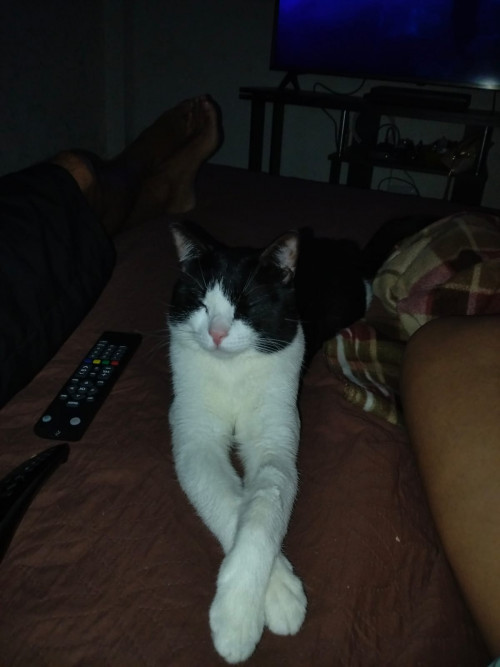 Negro