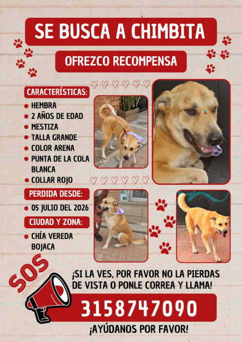 Chimbita
