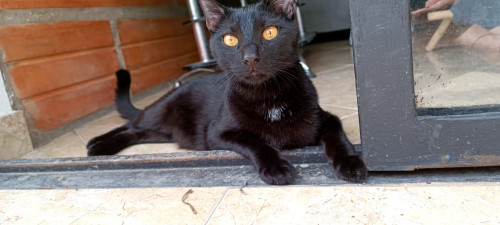 Salem