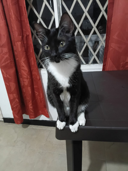 Lili