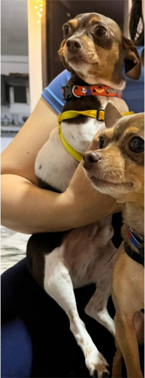 Tino Y Milo