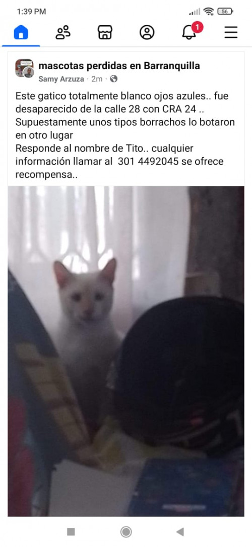 Tito