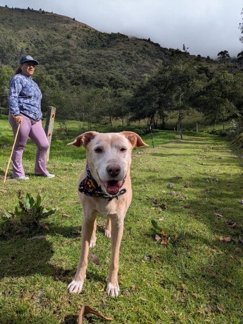 Ramona