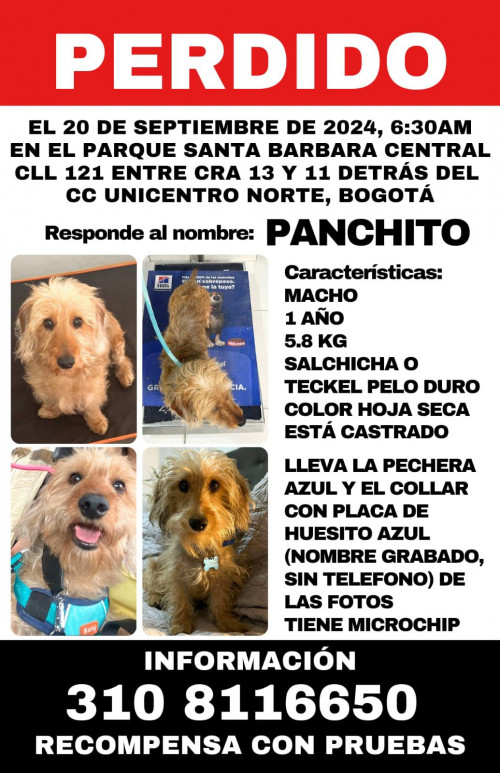 Panchito