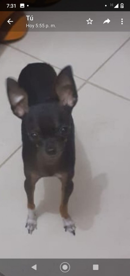 Lupita
