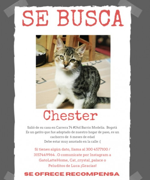 Chester