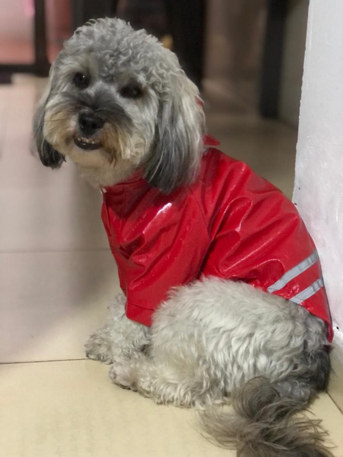 Zeus