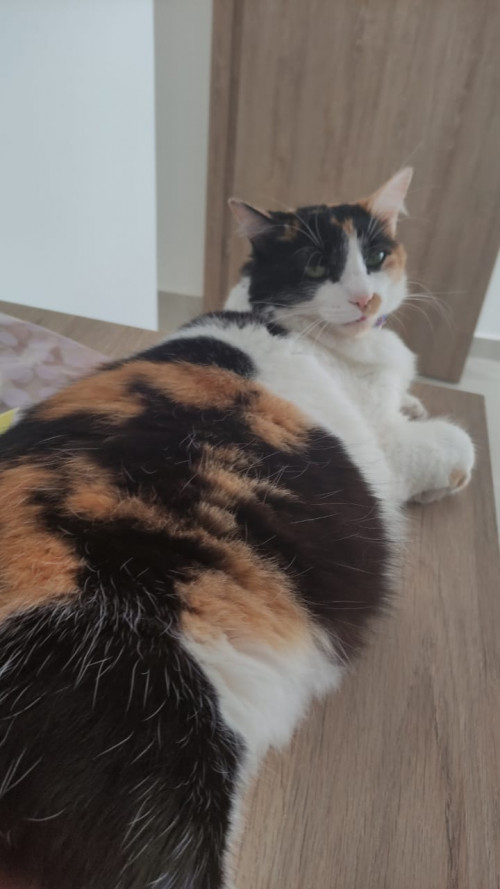 Princesa