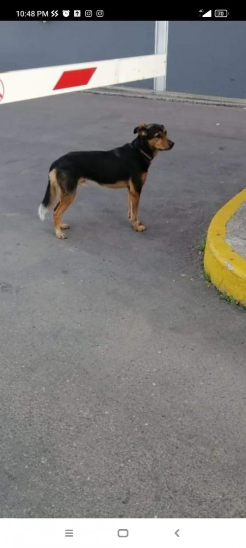 Aarón