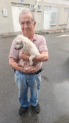 Foto de Lolita en Bucaramanga Santander #0