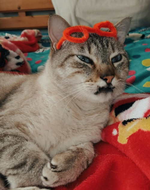 Tonny
