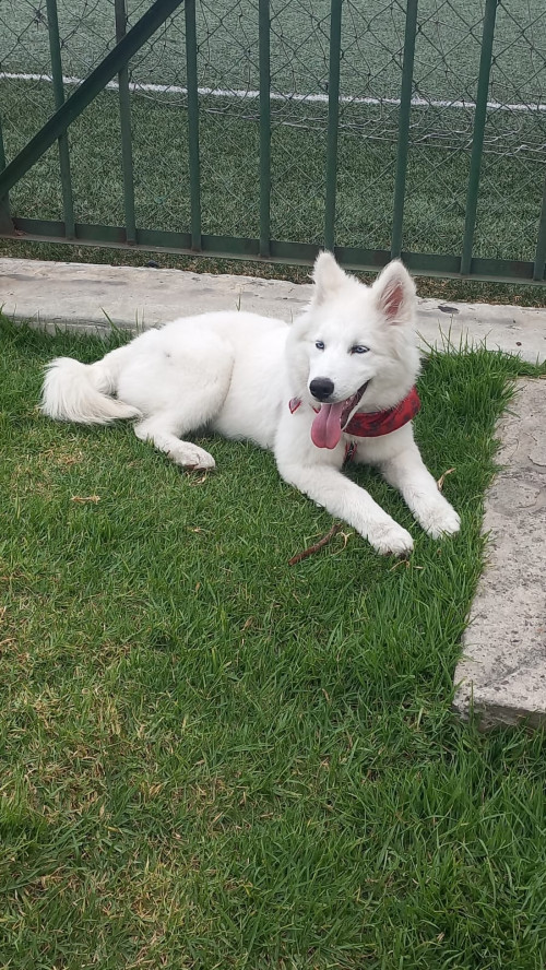 Max