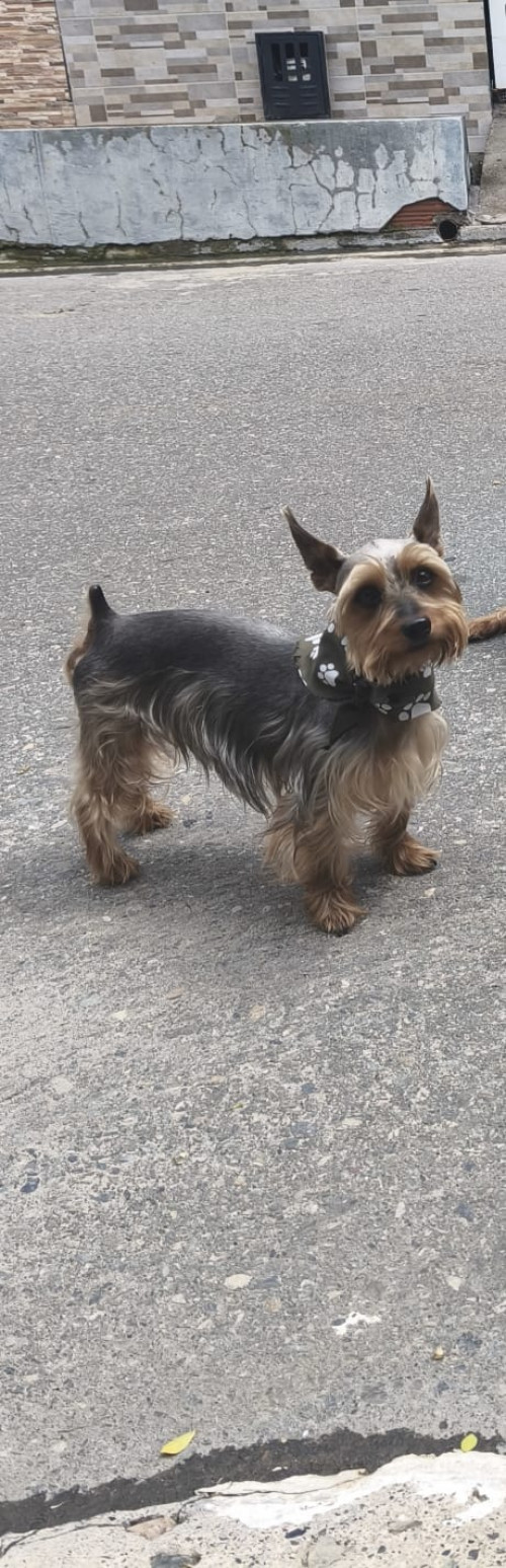Max