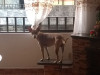 Foto de Bruno en Medellin Antioquia #8