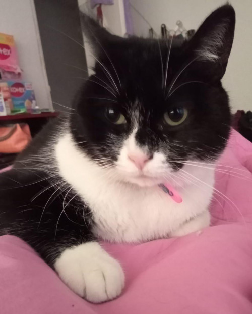 Sabrina