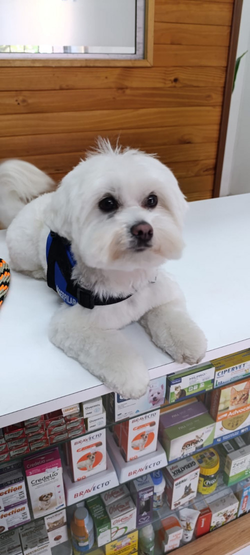 Max