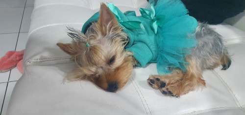 Dulce