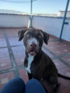 Foto de Zeus en Floridablanca Santander #1