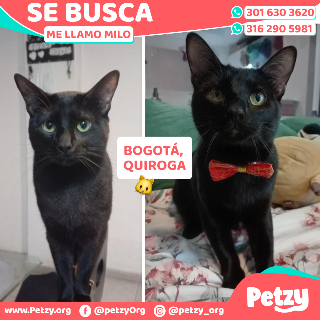 Milo