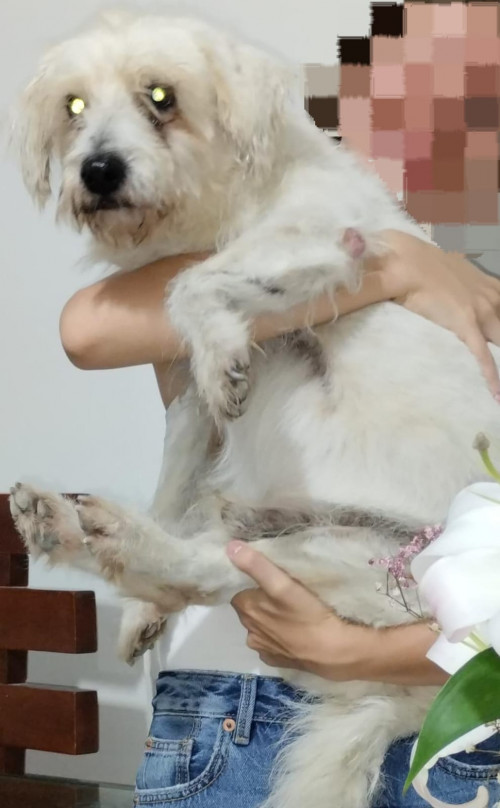 Romeo