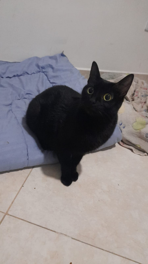 Salem