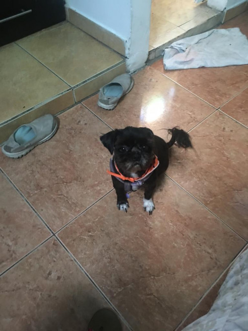Tita
