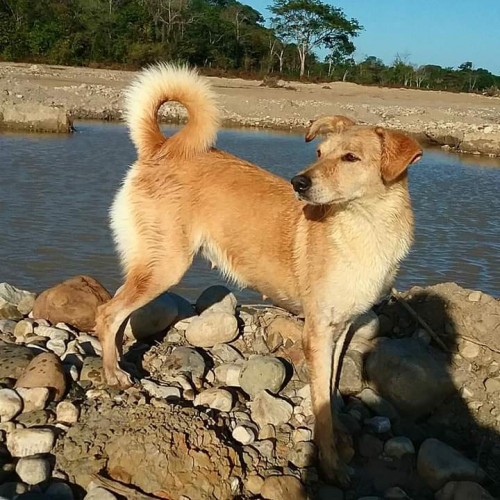 Juana