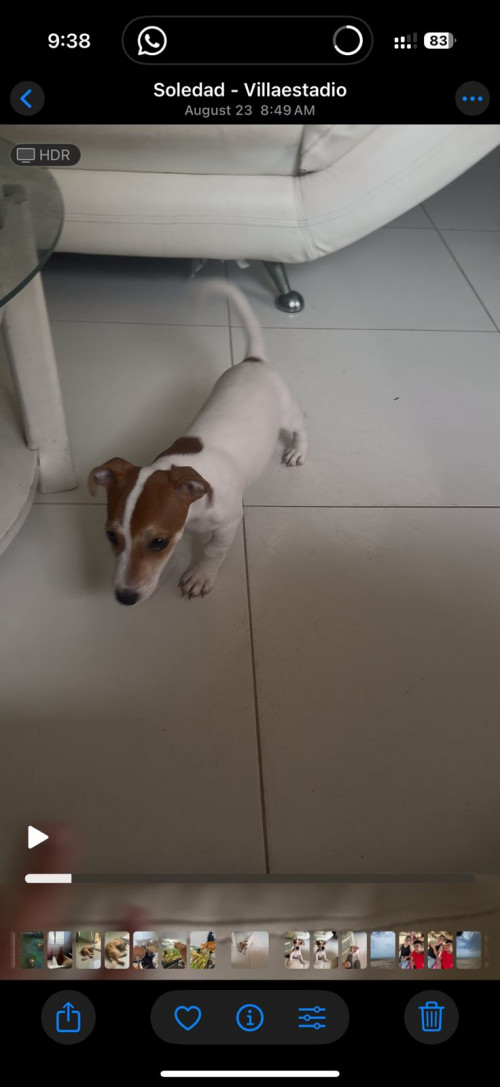 Chester