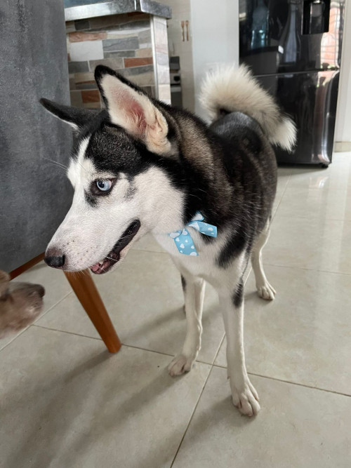 Luna