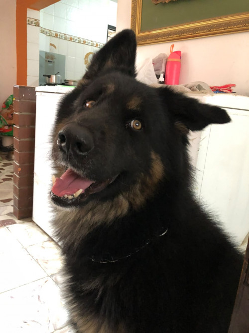 Lorenzo