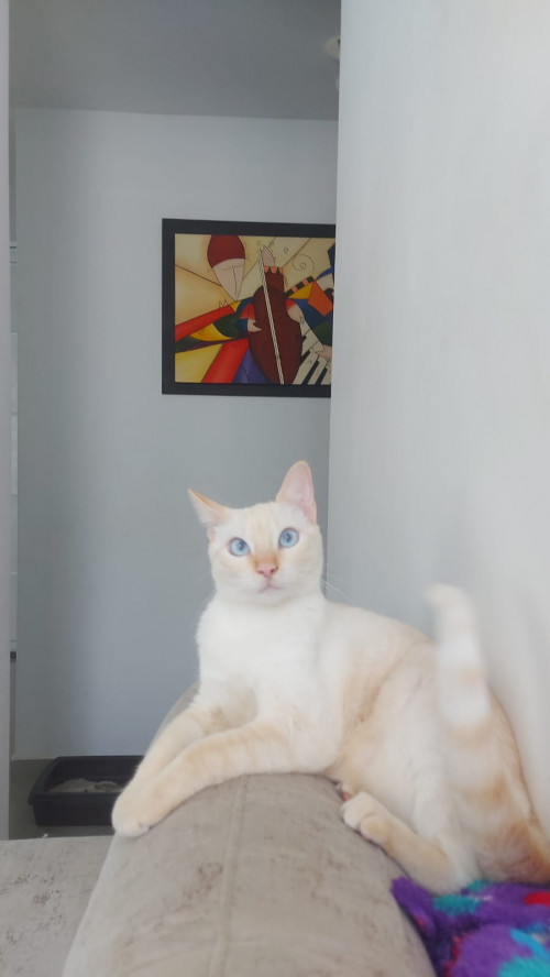 Frida