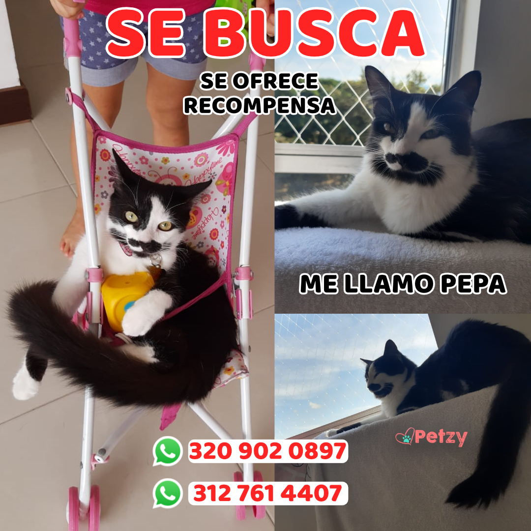 Pepa