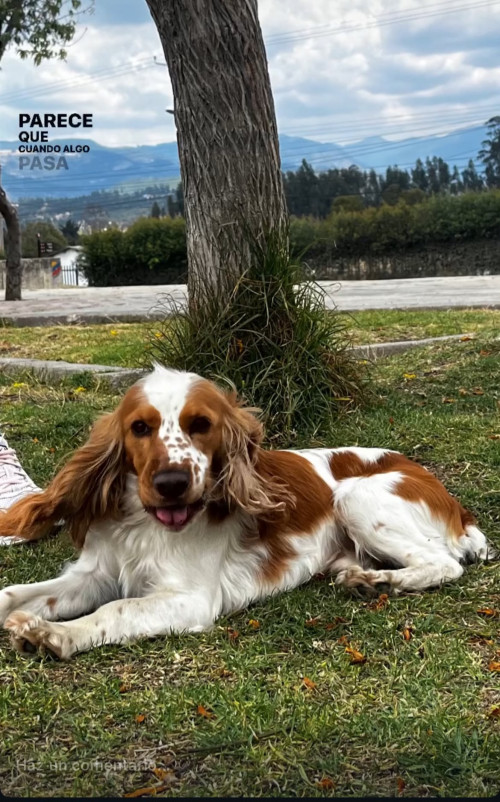 Max