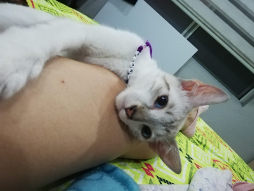 Kiara 