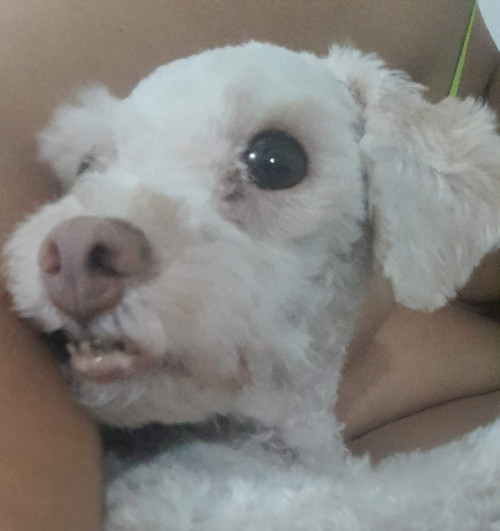 Mateo