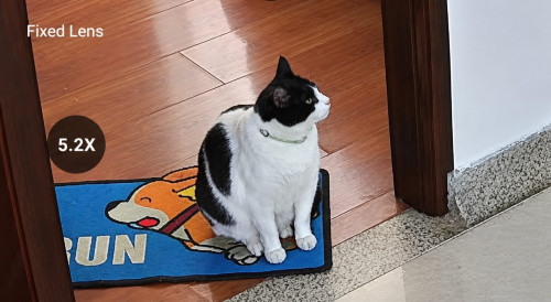 Tom