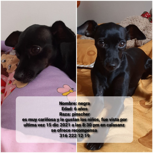 Negra