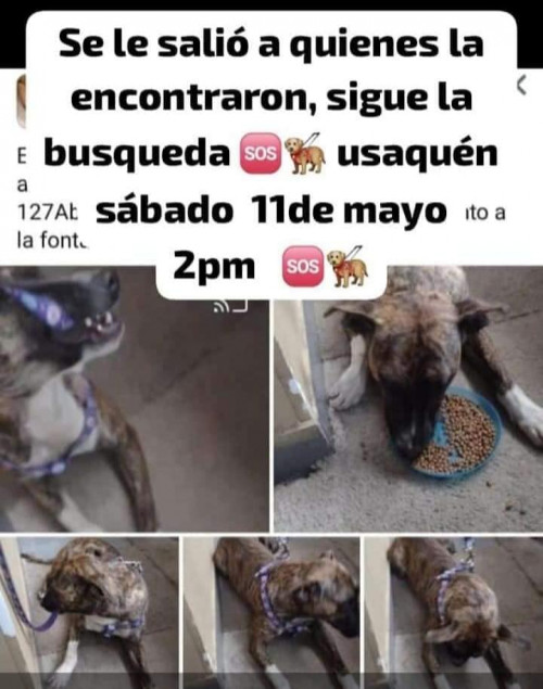 Kira O Manchas