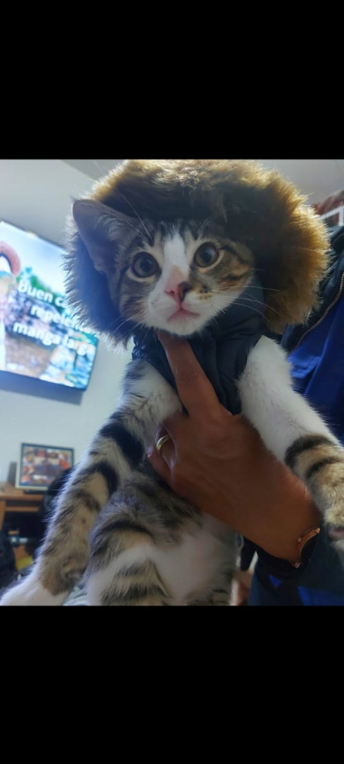 Ragnar