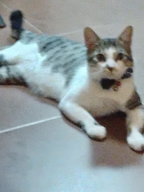 Micky