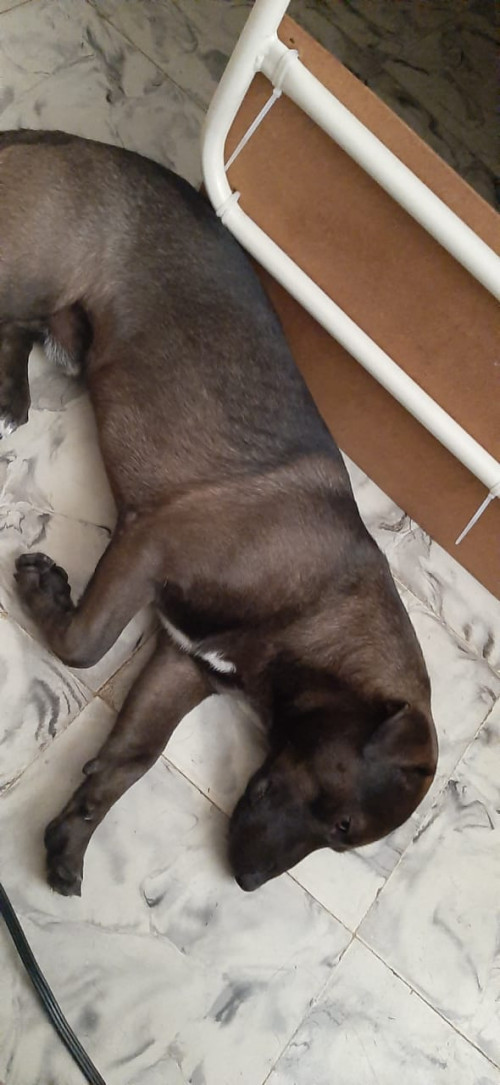 Matias