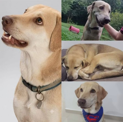 Max